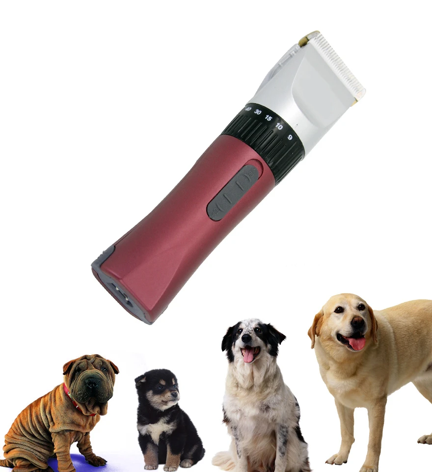 product-880-960 product-880-960